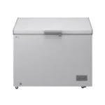 LG ARCA CONGELADORA 309L GCFB316BQCF